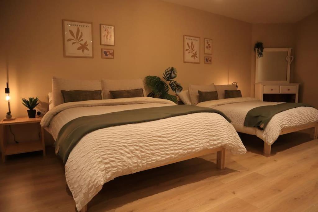 Modern Studio Apartment In Cashel Cashel  Exterior photo